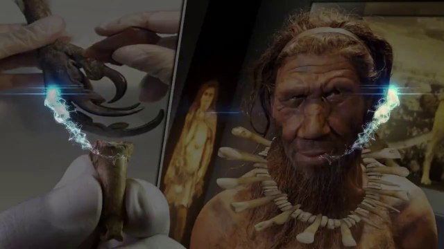 The ‘Last necklace made by Neanderthals’ discovered by archaeologists in Spain Cave!