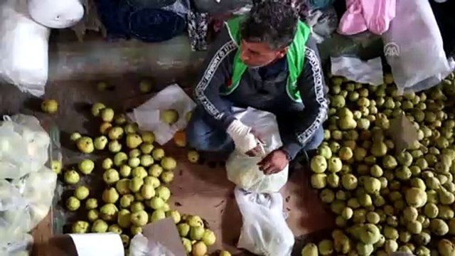 Suriye'deki çadır kentlerde 21 ton meyve dağıtıldı - HATAY