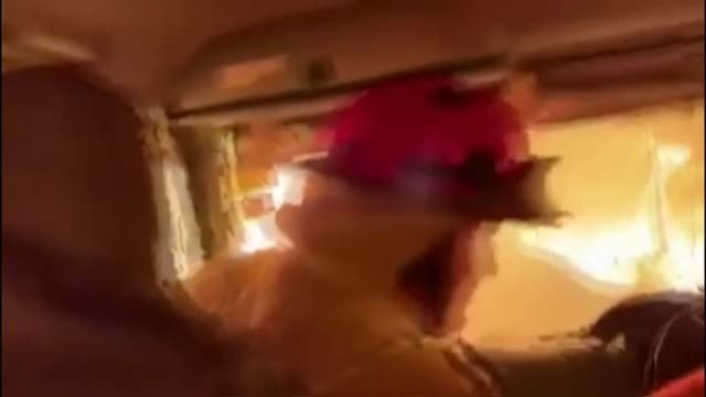 Las llamas arrasan en Australia reservas enteras de koalas