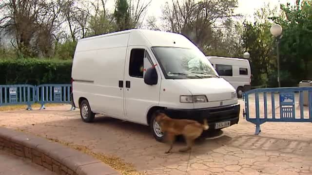 Madrid acoge la exhibición de guías caninos de la Policía Nacional