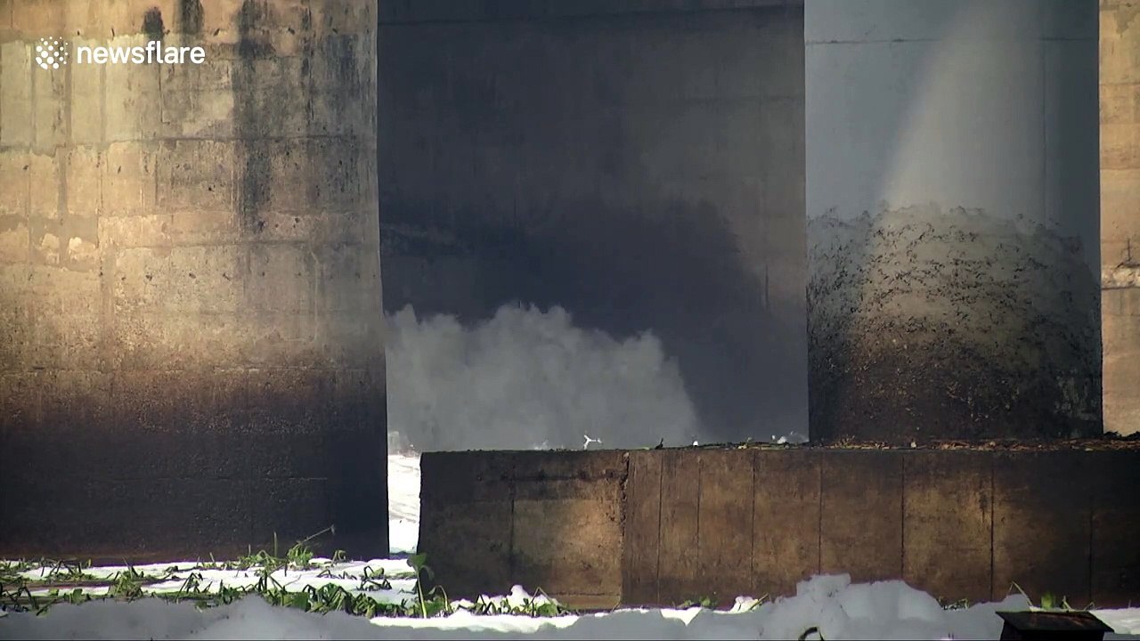 Toxic foam pollutes India's sacred Yamuna River