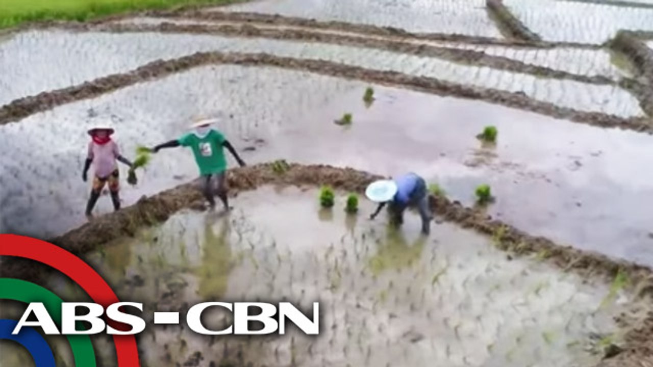 Wakas ng Paggapas? | Part 2 | Failon Ngayon