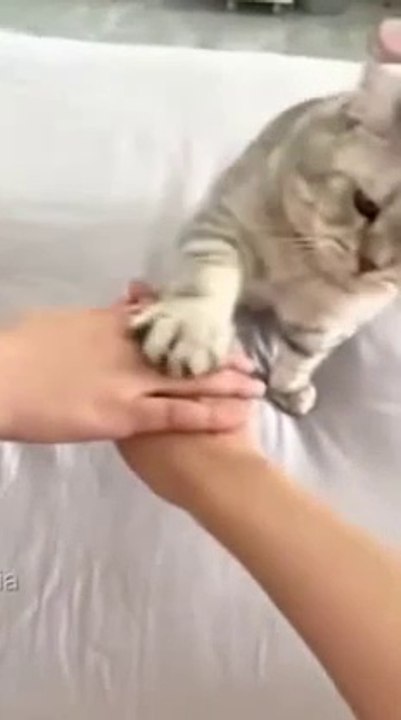 Donne-moi ta patte!!!