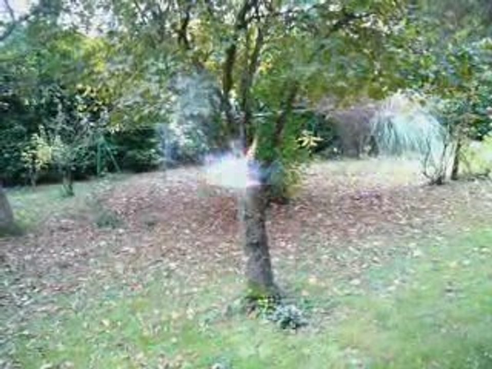 Terrible explosion d'une ambulance