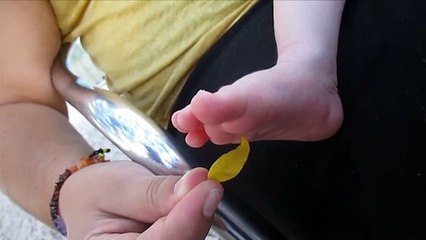 Dandan - Cocegas nos pes