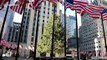 Iconic 2019 Rockefeller Christmas tree arrives in New York City