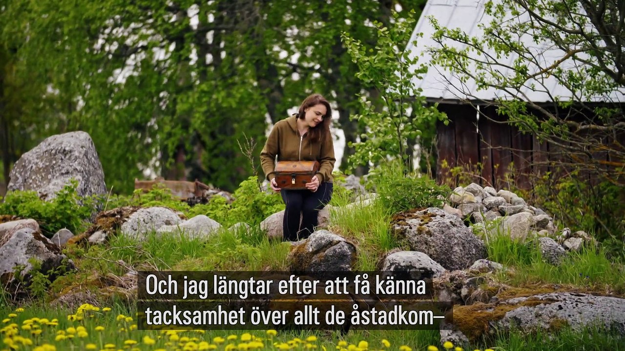 Allt för Sverige 2019 - episode 3/8 - S09E03