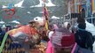 Shree Kedarnath ji Dham Yatra Latest Video- Amazing  Video