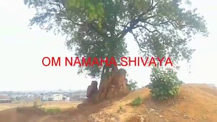 सिर्फ चट्टानों पे ही इतना विशाल नीम का वृक्ष ,LAAL Pahadi ( 360 X 640 )
