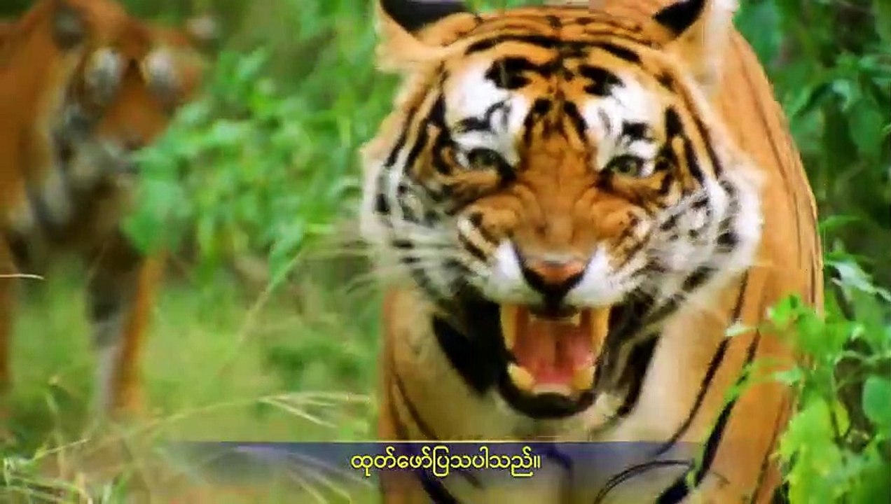 Best Myanmar Gospel Music Documentary (အရာခပ်သိမ်းအပေါ် အချုပ်အခြာအာဏာ စွဲကိုင်ထားသူ) ဘုရားသခင် ကမ္ဘာမြေကြီးကို ဖန်ဆင်းခြင်း