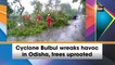 Cyclone Bulbul wreaks havoc in Odisha, trees uprooted