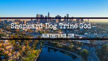 Shephard Dog Trine God | The Mystic Man | 2019 Hip Hop Music Video | New Rap | Hyphy Rap Song