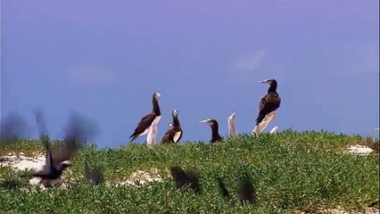 रेमोस यूरो कप 2020 क्वालिफायर में नॉर्वे के खिलाफ खेले, ये उनका 168वां मैच था