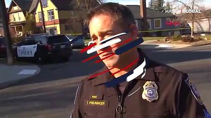 Röportaj sırasında polise kedi 'saldırısı'