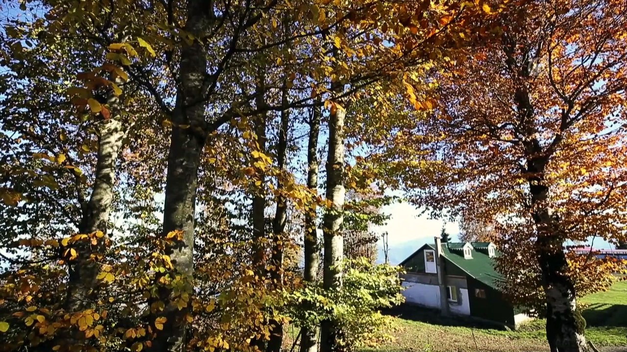 Hıdırnebi Yaylası sonbaharda görsel şölen sunuyor - TRABZON