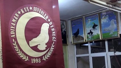 "Şampiyon", hem başarısıyla hem de sevgisiyle can yoldaşı oldu