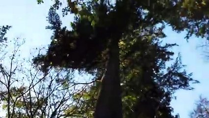 a trip around Wales part 3, UK enjoy..