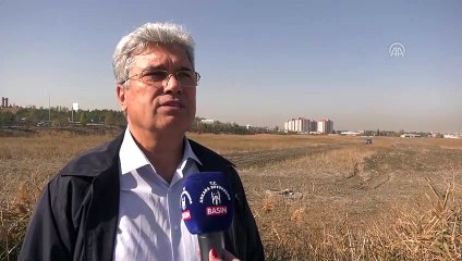 AOÇ arazisinde çiftçiler için tohum üretilecek - ANKARA