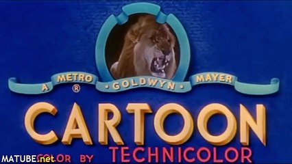 رسوم متحركة توم وجيري