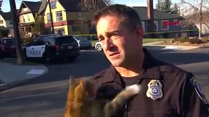 Röportaj sırasında polisin üzerine sokak kedisi atladı