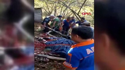 Bartın-inek arazide 5 metre aşağı düştü, sedye ile 1 kilometre taşındı