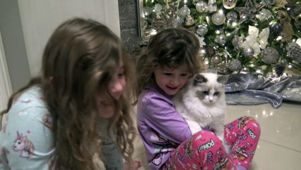 Feliz!! Natal  - Brincadeiras e Diversão - Mágia do Natal