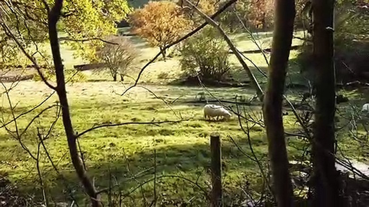 a trip around Wales p5