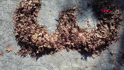 Atatürk'ü sonbahar yapraklarıyla andılar