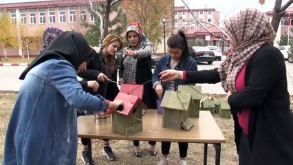 Üniversite öğrencileri, yaptıkları yuvalarla kuşları soğuktan koruyor - AĞRI