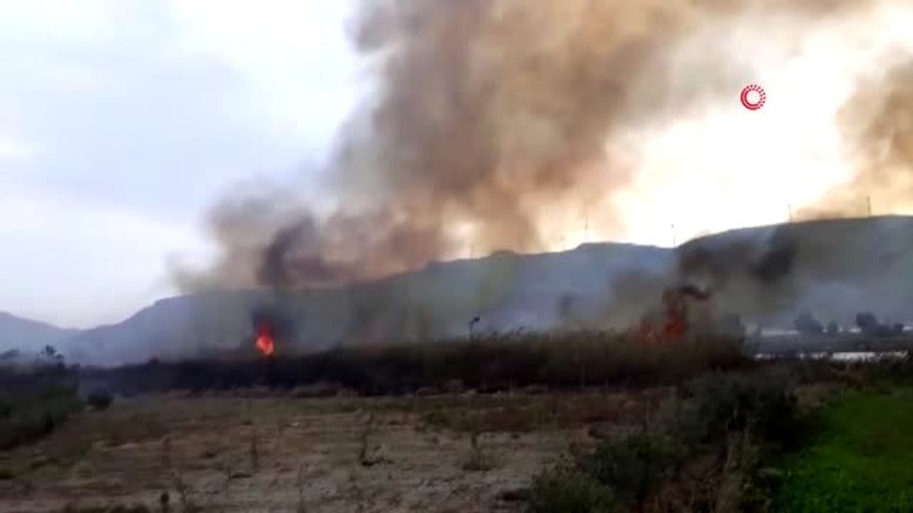 Samandağ'da sazlık yangını