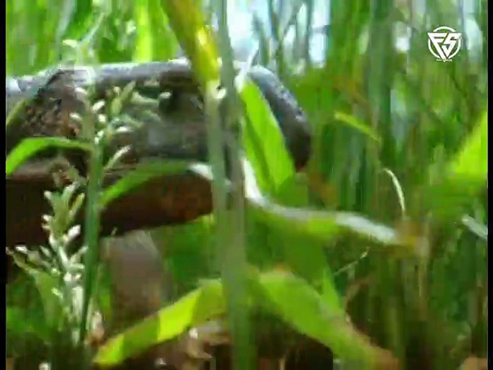 FadyShowreel