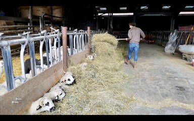 Le "Bercail Paysan", futur lieu d'accueil pour les autistes à Gillonnay