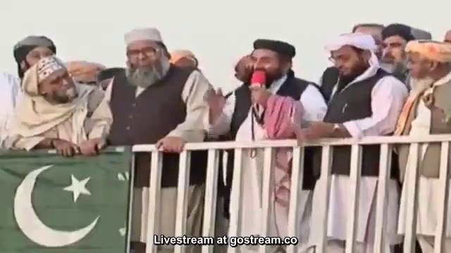 آزادی_مارچ مولانا منظوراحمد مینگل آزادی مارچ میں مولانا طارق جمیل کی زبردست ٹھکائی کرتے ہوئے