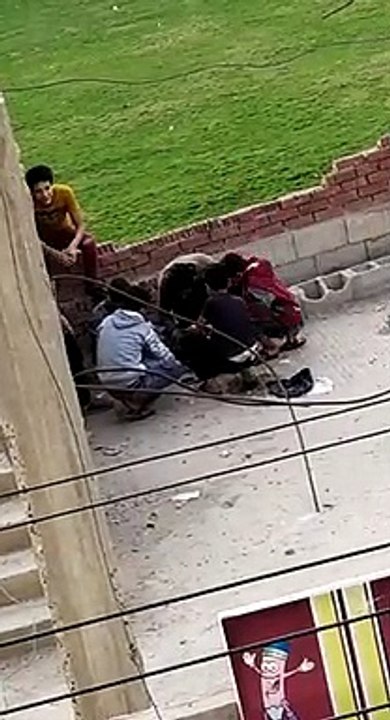 رئيس نادى الروضة بدمياط يحرر محضرا ضد 4 أطفال لتعاطيهم المخدرات