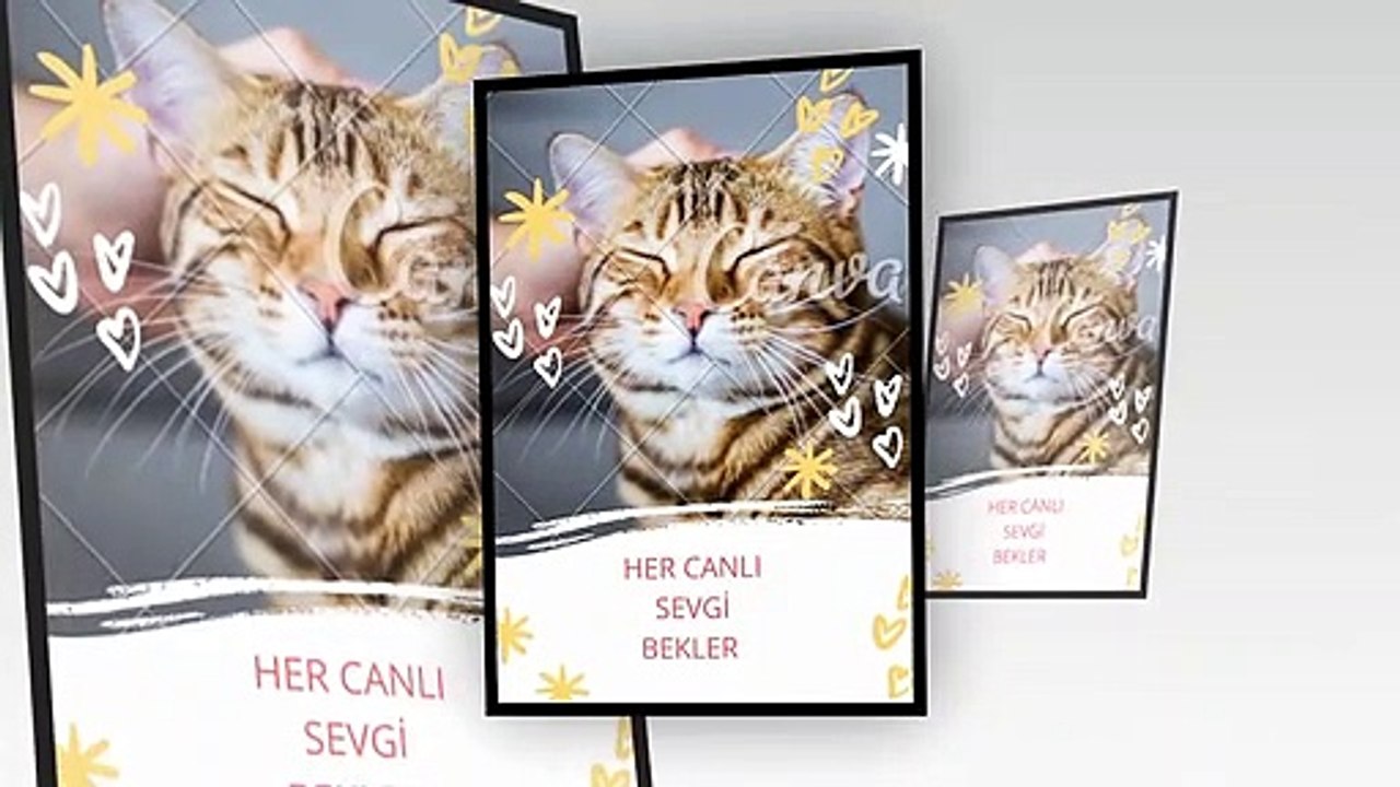Sevgi1