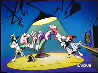 Cartoni animati americani indimenticabili: Animaniacs (1993)