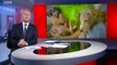 BBC1_Look North (East Yorkshire & Lincolnshire) 6Nov19 - 2 dogs dumped on a Lincolnshire beach
