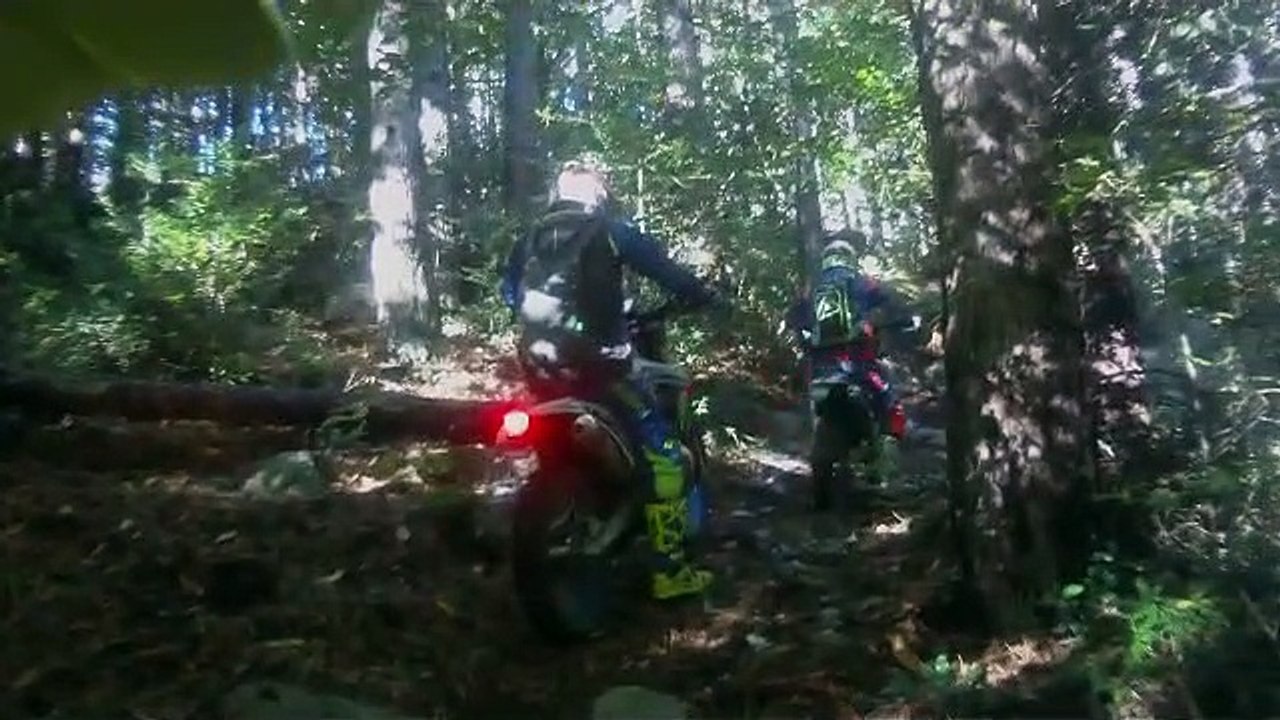 viree espagnole 91119