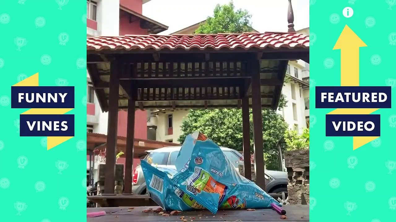 TRY NOT TO LAUGH - Top Viral Videos of The Week!