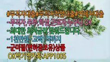 √24시친절무료상담카!톡:APP1005