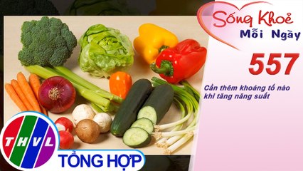 Cần thêm khoáng tố nào khi tăng năng suất | Sống khỏe mỗi ngày - Kỳ 557