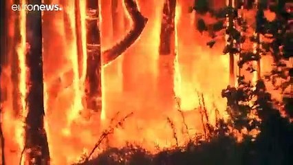 Сидней во власти огненной стихии