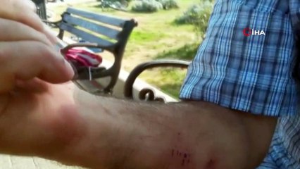 Büyükada’da kıyıya vuran dalgalar nedeniyle vatandaşlar ölümden döndü