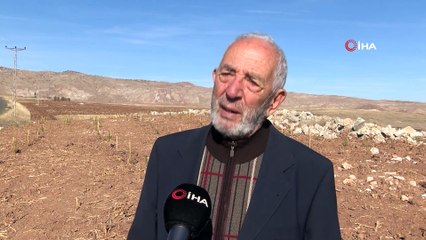 Ot bitmeyen yeri taşıma toprakla ormana dönüştürdü