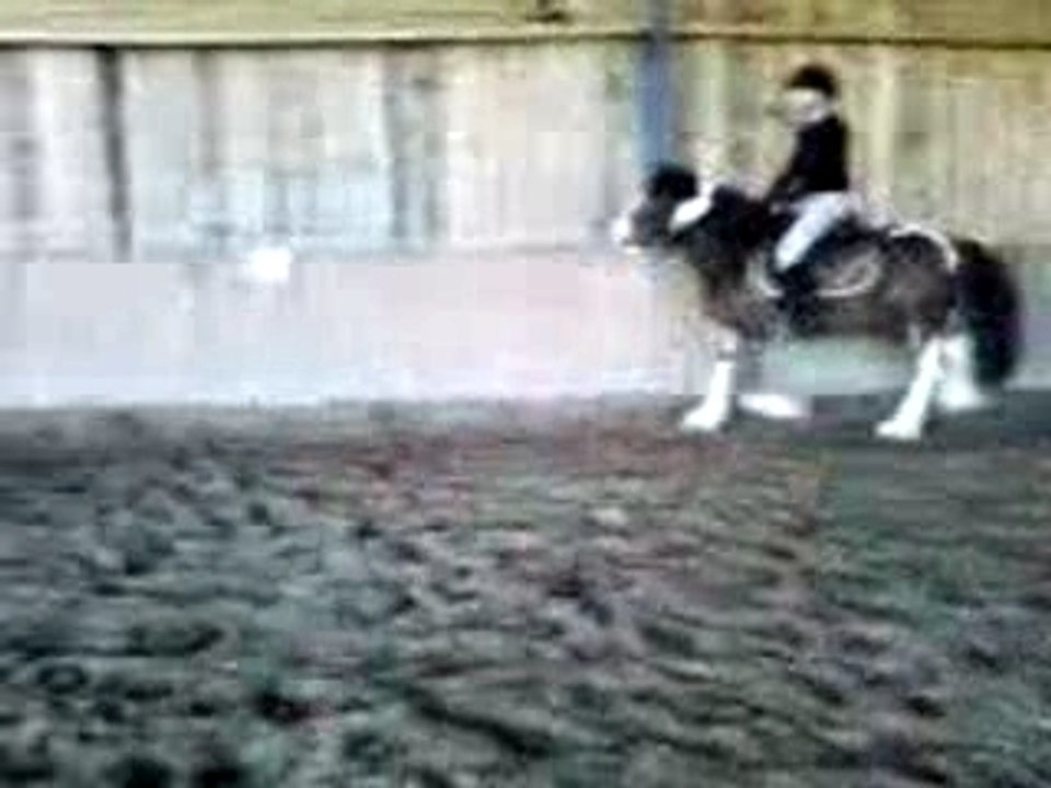 Vidéo-0006
