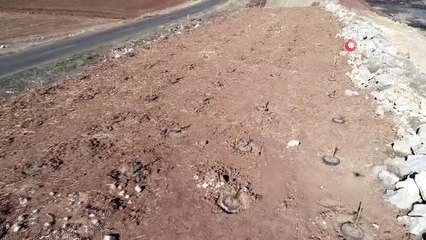 Ot bitmeyen yeri taşıma toprakla ormana dönüştürdü