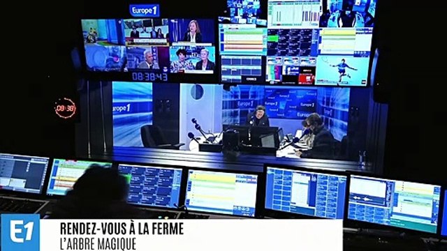 Ginkgo biloba : l'arbre magique qui transcende le temps