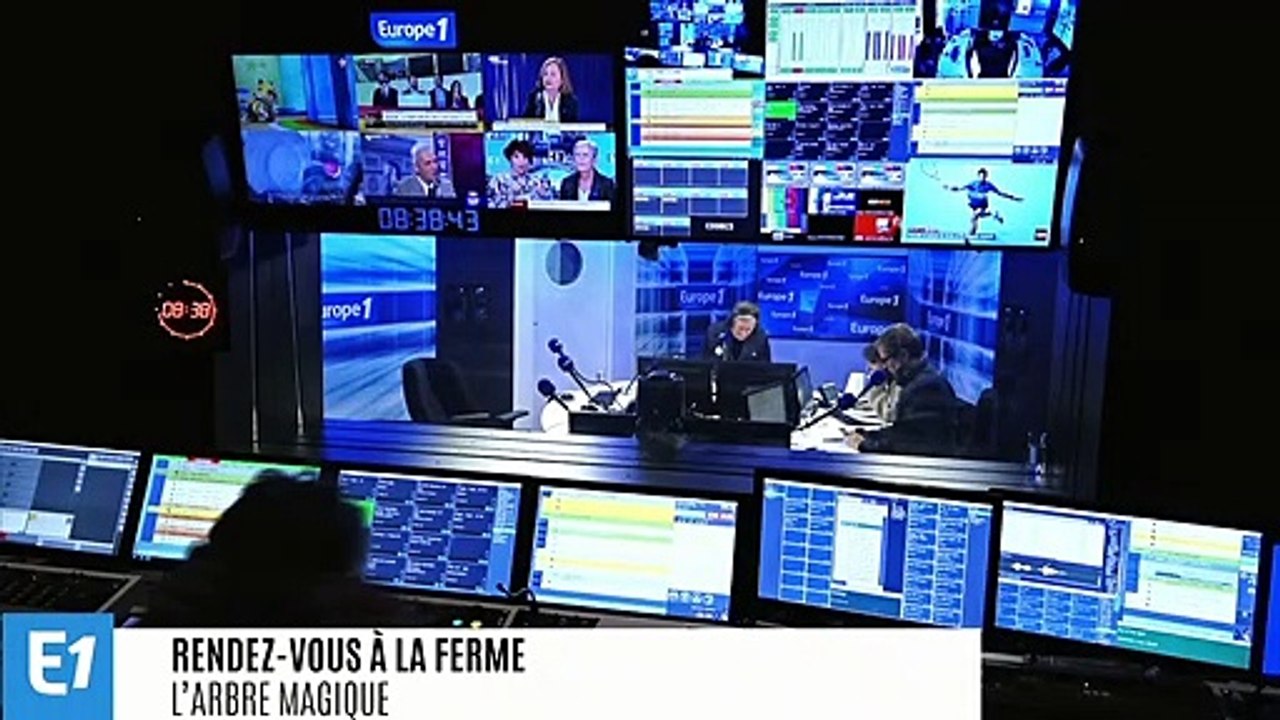 Ginkgo biloba : l'arbre magique qui transcende le temps