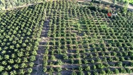 Belediyedeki işinden kovuldu iş kadını oldu