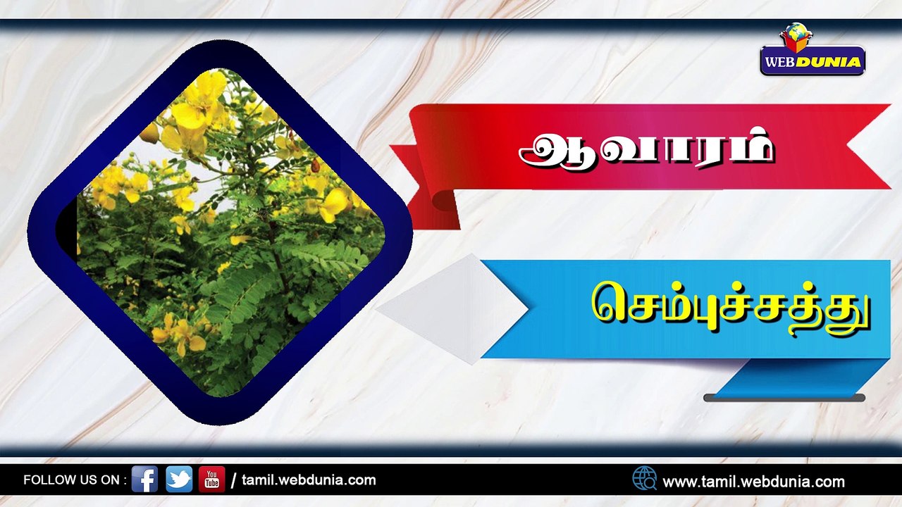 மூலிகை செடிகளும் அதில் உள்ள சத்துக்களும்...!!